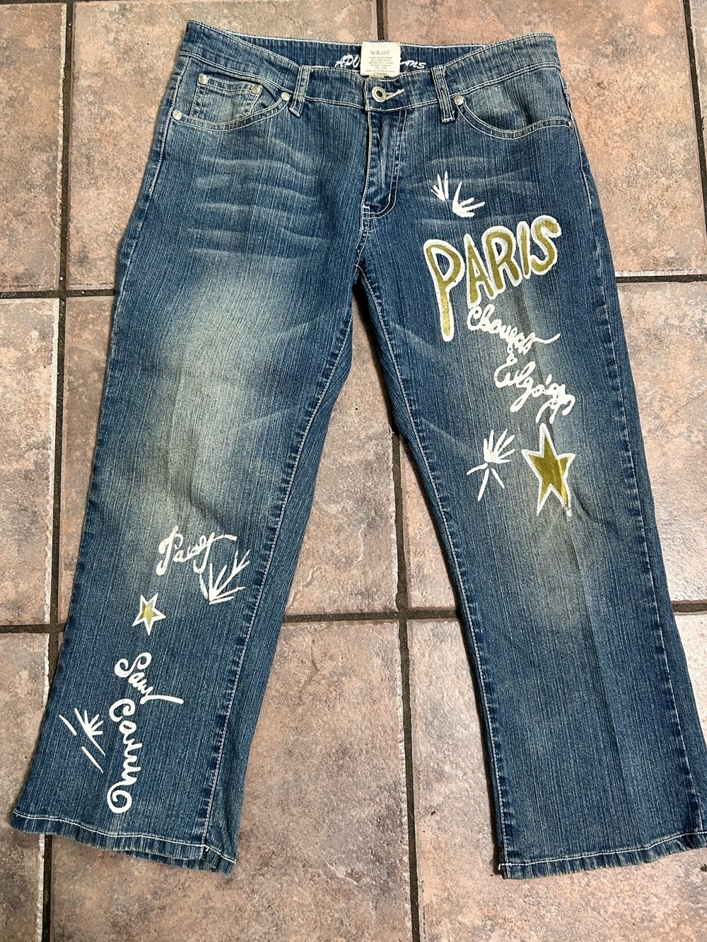 Apollo Paris Embroidered Blue Women's Jeans